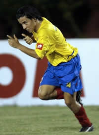 Novos aromas canarinhos1